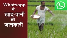 किसानों के लिए खुशखबरी! अब Whatsapp बताएगा, फसल में कब और कितना देना है खाद-पानी