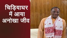 इस राज्य में बिहार से पहुंचा अनोखा जीव, भाजपा के मंत्री ने पूजा पाठ कर किया स्वागत