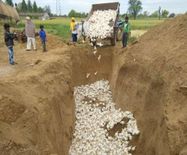 कोरोना का डरः भारत की इस जगह पर एक साथ तीस हजार मुर्गियों को किया गया जिंदा दफन