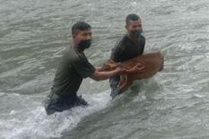 गर्भवती हिरण को बचाने के लिए नदी में कूदे सेना के जवान

