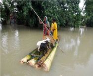 इस राज्य में बिगड़ी बाढ़ की स्थिति, 1.82 लाख लोग बेघर, 64 की मौत