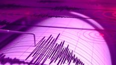 असम, नागालैंड में 3.5 तीव्रता का भूकंप झटके 