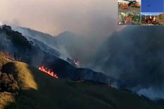 फैलती जा रही है नागालैंड-मणिपुर बॉर्डर के जंगल में लगी आग, कोशिश जारी



