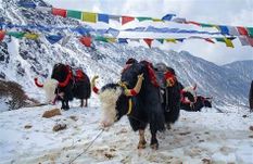 सिक्किम सरकार का बड़ा फैसला, विदेशी पर्यटकों के लिए खोला रामम सीमा चेकपोस्ट