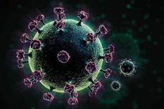 Second wave of corona infection: देश में पिछले पांच महीनों में सबसे अधिक कोरोना के मामले, राज्य सरकारें अलर्ट