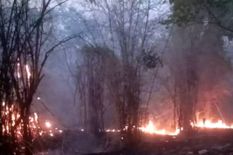 Bandhavgarh Tiger Reserve Wildfire : बांधवगढ़ नेशनल टाइगर रिजर्व में लगी विकराल आग, बाघों में मची भगदड़