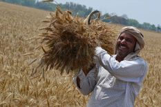 चार प्रतिशत से भी कम किसानों ने अपनाया टिकाऊ खेती तौर तरीका, सामने आई रिपोर्ट



