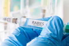 सामुदायिक स्वास्थ्य केंद्र की बड़ी लापरवाह , कोरोना वैक्सीन की जगह लगा दिया रैबीज का इंजेक्शन