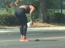 OMG: महिला को सड़क पर दिखा कछुआ, फिर जो हुआ देखकर रह जाएंगे दंग