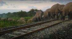 Assam के लखीमपुर में ट्रेन से टकराया जंगली हाथी, मौत