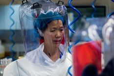 अमेरिकी वैज्ञानिक को मिला गायब डाटा, दावा- कोरोना वायरस चीन के वुहान लैब से ही निकला