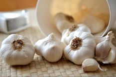 How to Make Garlic juice : कोरोना काल में फायदेमंद है 'लहसुन का जूस', जानिए कब और कैसे करें सेवन 
