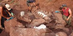 Meghalaya में मिला 100 मिलियन साल पुराना डायनासोर का कंकाल