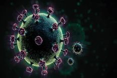 विकसित देशों की तुलना में भारत में कोरोना का संक्रमण कम, स्वास्थ्य मंत्रालय ने जारी किए आंकड़ें



