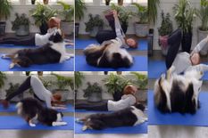 Dog Doing Yoga : इंसानों की तरह योग करता है ये डॉगी, हरकतों ने जीता लोगों का दिल