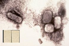 बड़ा खुलासा! 300 साल पहले आई थी Coronavirus जैसी महामारी, 280 साल में हुइ थी पूरी तरह खत्म