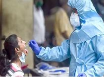 नागालैंड में कोरोना के 117 नए मामले, राज्य में अबतक 376 संक्रमितों की मौत



