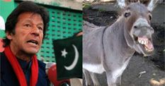 कंगाल हो चुका है पाकिस्तान, जानिए कैसे इमरान खान ने किया बेड़ा गर्क