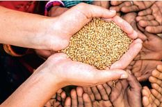 Yogi government का बड़ा एलान, कल से 14 करोड़ लोगोंं को मिलेगा फ्री में पांच किलो गेहूं और चावल