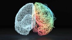 Google ने बनाया इंसानी दिमाग का थ्री-डायमेंशनल नक्शा, एक छोटे से हिस्से का इतना बड़ा कोशिकाओं जाल