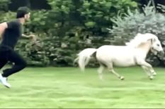 गजबः स्कॉटलैंड से मंगाए घोड़े के साथ रेस लगाकर महेंद्र सिंह धोनी ने दिखाई अपनी ताकत, देखें ये VIDEO