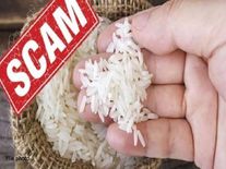 चावल घोटाले का किया खुलासा, FCI के 1 लाख चावल के बैग किए जा रहे थे रीपैकेजिंग 