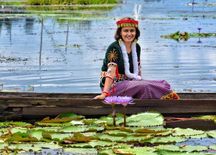 कमल की कटाई से मणिपुर की लोकतक झील में भर गई ताजगी, नजारा देख खो बैठेंगे दिल 