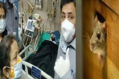 गजबः मुंबई के अस्पताल के ICU में घुसा चूहा, मरीज की कुतर गया आंख, हुआ हंगामा