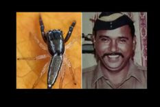 26/11 हमले के हीरो को खास सम्मान, तुकाराम ओंबले के नाम पर रखा गया मकड़ी की नई प्रजाति का नाम