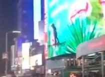 न्यूयॉर्क में टाइम्स स्क्वायर पर उड़ता दिखा शख्स, लोगों ने कहा स्पाइडर मैन

