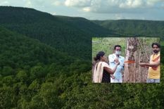 बक्सवाहा के जंगल में हीरों के लिए नहीं कटेंगे 2.15 लाख पेड़, NGT ने लगाई रोक