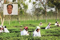 कभी चाय बागान में मजदूरी करता था ये नेता, अब मोदी सरकार में बने मंत्री, जानिए कौन है ये