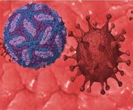 जीका वायरस ने मचाया आतंक, यूपी में 6 नए मामले दर्ज
