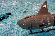 चीन ने बना दिया है ऐसा खतरनाक रोबो-शार्क ड्रोन, पानी के अंदर मचा सकता है तबाही, बढ़ाई दुनिया की चिंता