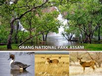 बढ़ा असम का सियासी पारा, ओरंग नेशनल पार्क से राजीव गांधी को हटाने की मांग हुई तेज 