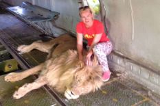 5 साल के बच्चे को मारने झपटा शेर, मां ने लात घूंसे मारकर भगा दिया