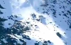 हिम तेंदुए ने खतरनाक ढंग से किया बर्फीले पहाड़ों पर शिकार, वीडियो देख रह जाएंगे हैरान



