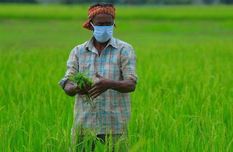 खेती से बदल रही है त्रिपुरा के किसानों की किस्मत,  कभी उग्रवाद प्रभावित था राज्य



