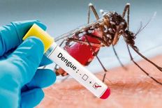देश में कोरोना की तीसरी लहर के साथ डेंगू और वायरल फीवर ने मचाया आतंक