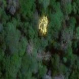 गजब! Google Maps से खोज निकाला खजाना, आसमान से चमकती दिखी सोने की खदान