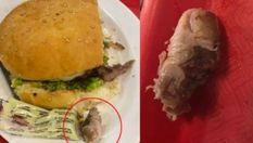 महिला ने ऑनलाइन ऑर्डर किया बर्गर,  डिब्बा खोलकर देखा तो मिली सड़ी हुई इंसान की उंगली