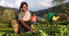 खुशखबरी! Tea कंपनियों ने किया असम चाय श्रमिकों को दुर्गा पूजा बोनस देने का ऐलान