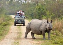 Assam में आज से खुलेगा Orang National Park, पर्यटक ले सकेंगे घूमने का मजा