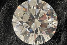 कूड़ेदान में फेंका 16 करोड़ का हीरा, फिर पड़ोसी ने ऐसे बदल दी महिला की किस्मत