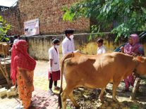 कृषि विज्ञान केंद्र द्वारा पशु स्वास्थ्य शिविर आयोजित, बीमारी पशुओं का किया जाएगा इलाज
