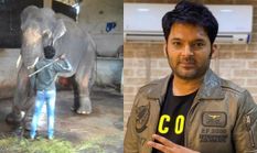 कपिल शर्मा ने बचाई 'सुंदर' की जान, PETA ने कहा थैंक यू, जानिए क्या है पूरा मामला

