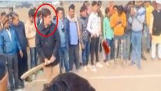 25000 के इनामी माफिया धनंजय सिंह का क्रिकेट खेलते हुए वीडियो वायरल, अखिलेश से भाजपा को घेरा