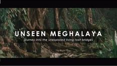 'Unseen Meghalaya' शॉर्ट फिल्म ने पर्दे पर मचा दी धूम, जीता बेस्ट शॉर्ट डॉक्यूमेंट्री अवॉर्ड