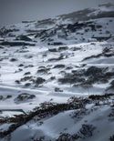 बर्फ की चादर ओढ़े हुए है अरुणाचल का तवांग, सीएम खांडू ने शेयर की खूबसूरत तस्वीर