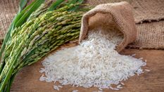 कभी सोचा है चावल के बिना पूरी क्यों नहीं होती पूजा, जानिए अक्षत का सबसे बड़ा महत्व